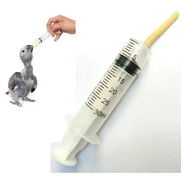 Hand Feeder For Grey Parrots Chicks and Birds