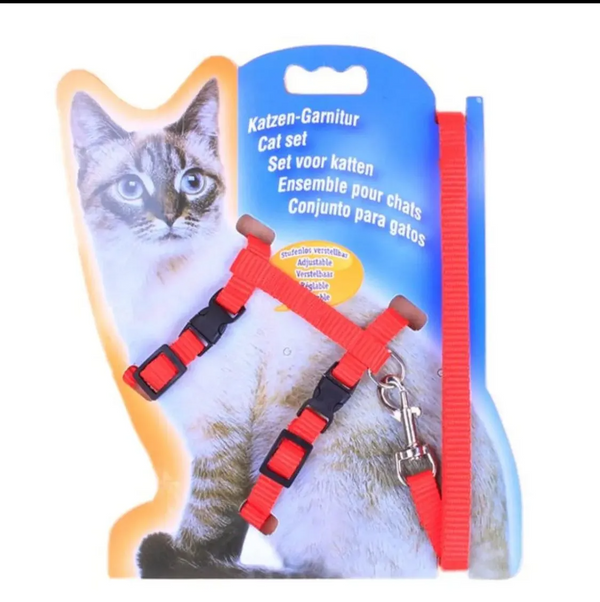 Cat Harness And Leash - Multi color