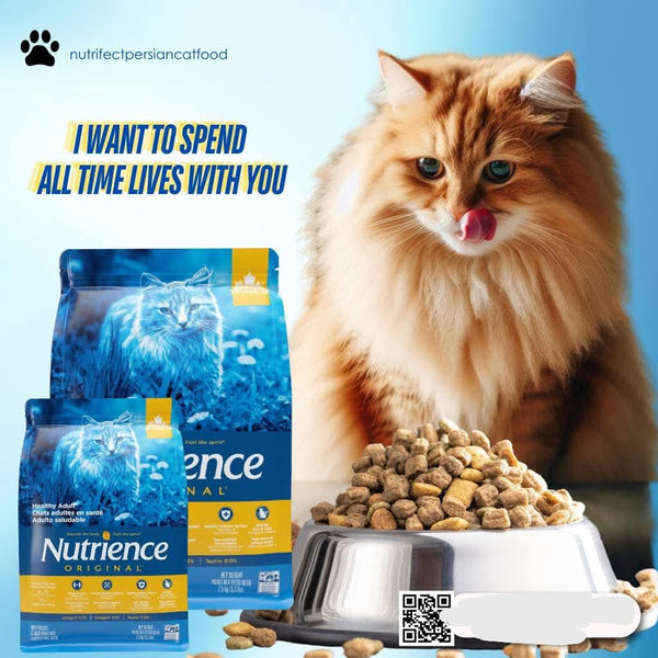 Nutrience Original Chicken & Brown Rice – Cat 450gram